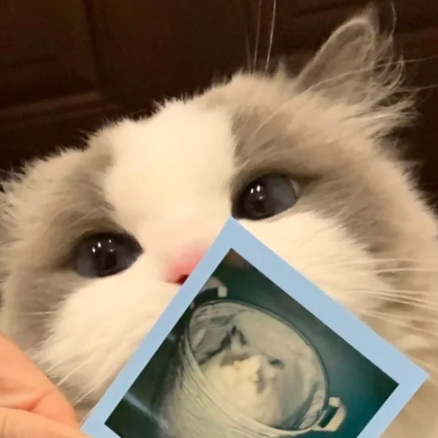 君