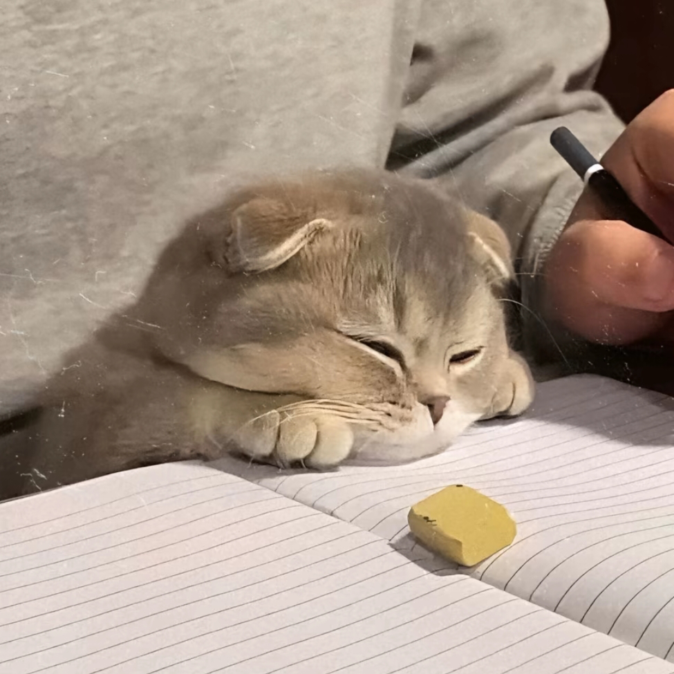 一十三木㉿