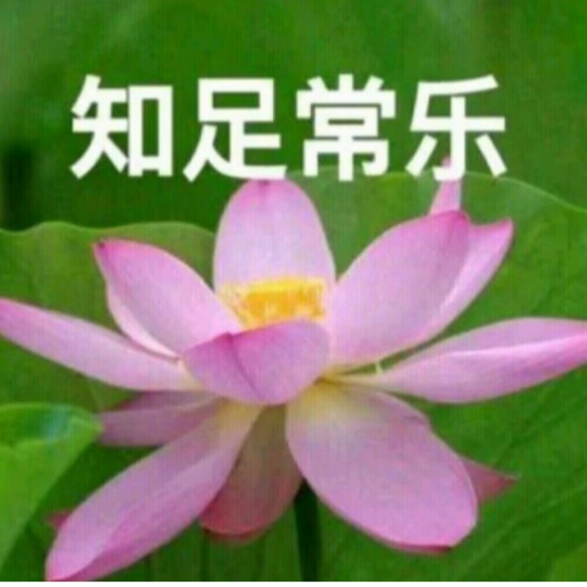 上善若水