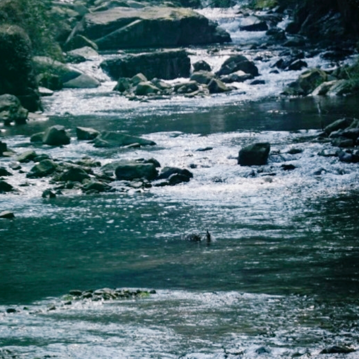 易水流