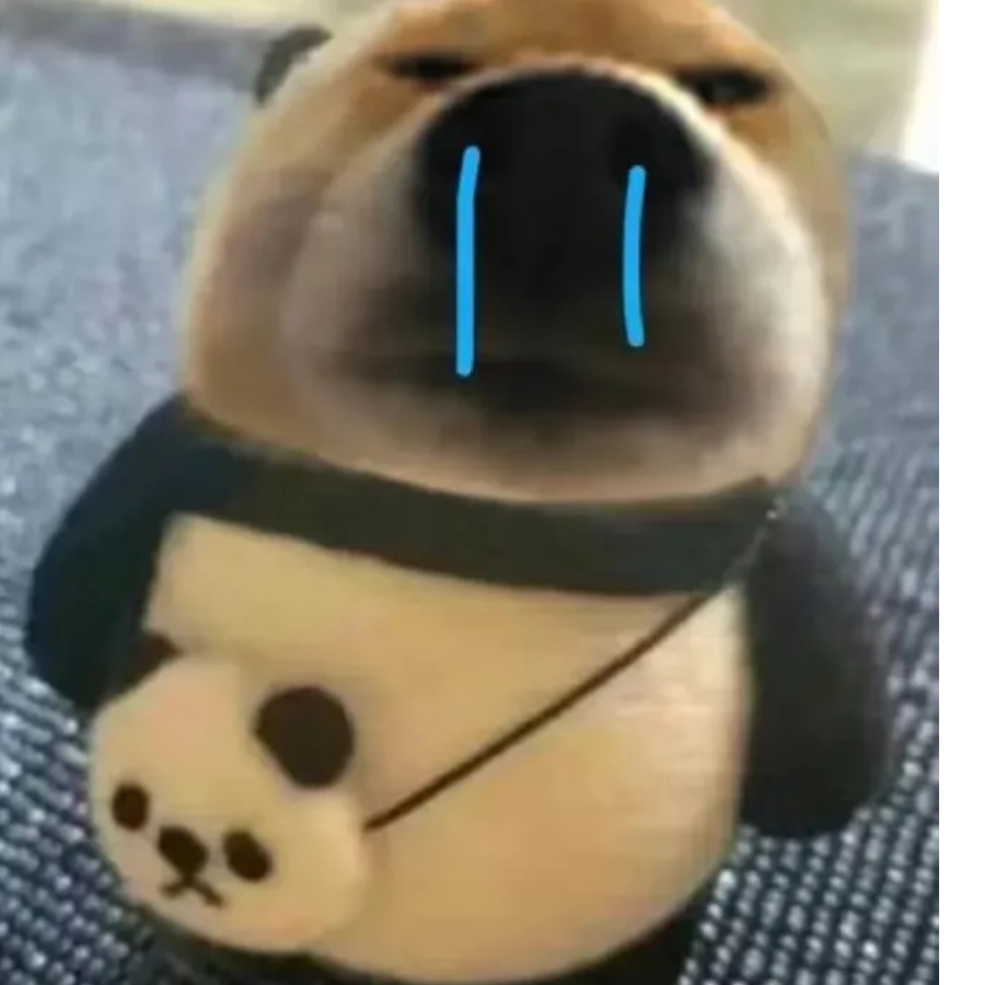 我的饭盆嘞？