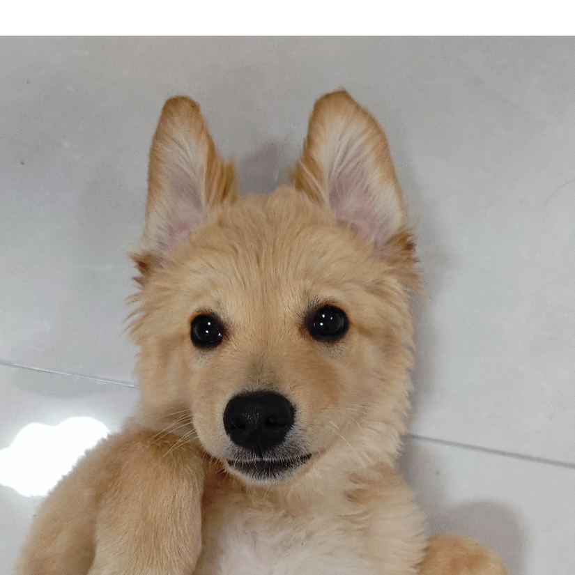 ~。~