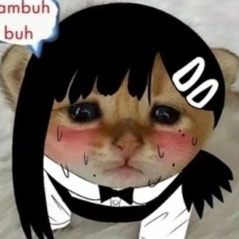 屑皮利