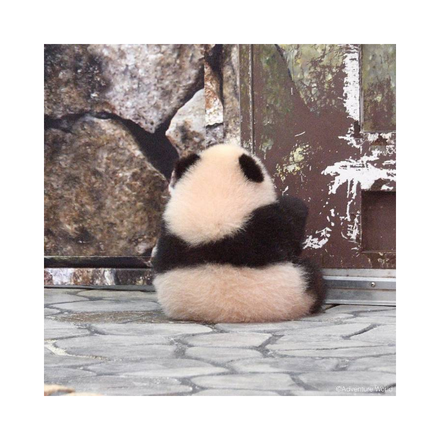 和光同尘