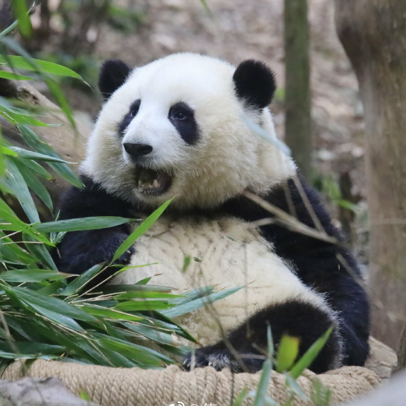 灯火葳蕤，眼眉似水