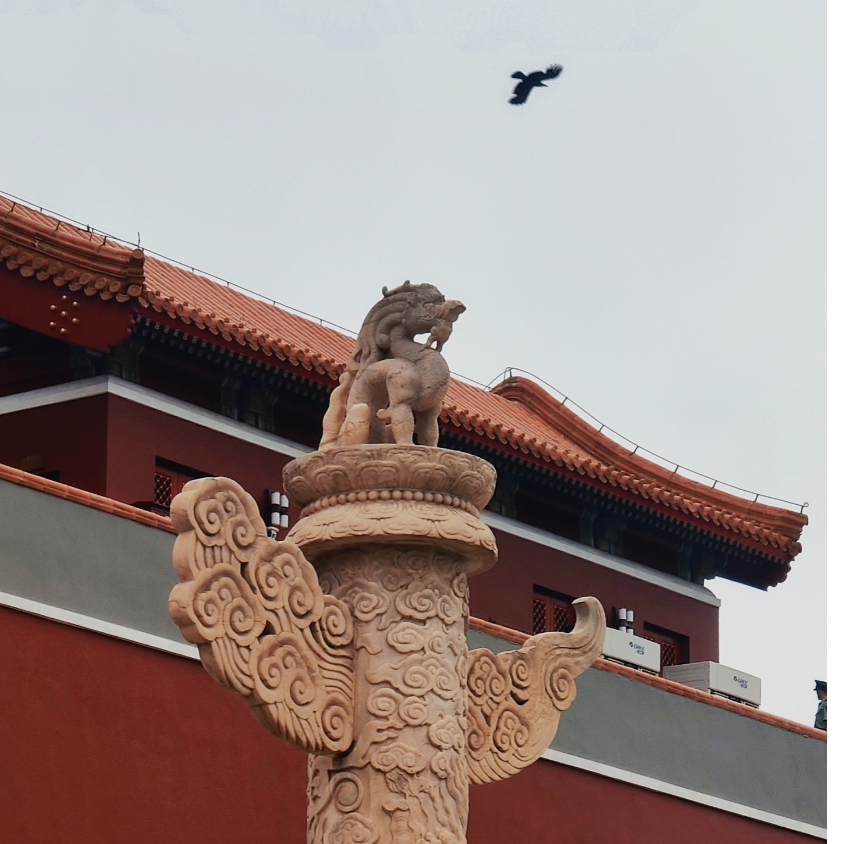 哎就是玩