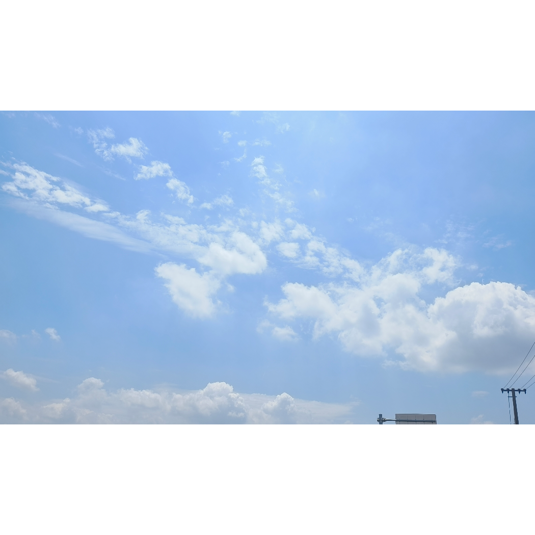 梦梦