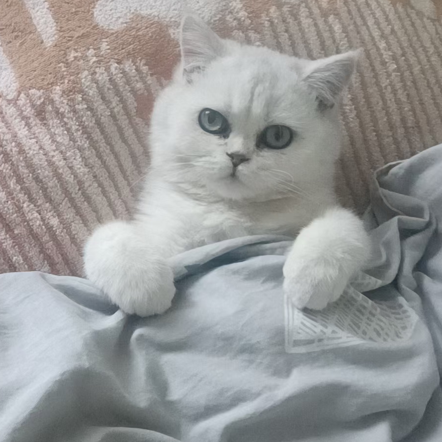 伟大