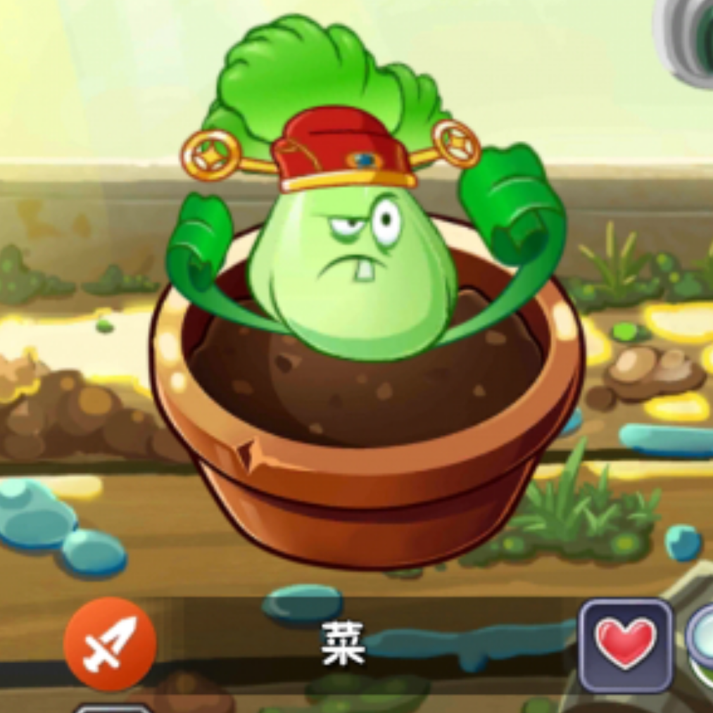 向导