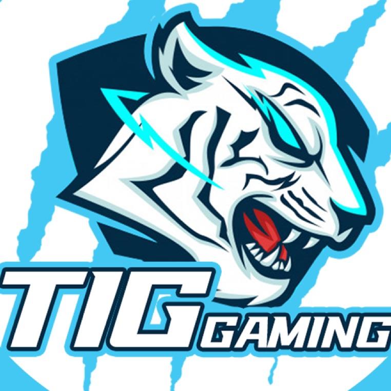 TIG•饭团