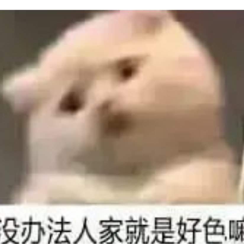 猫瘾犯了想吸猫