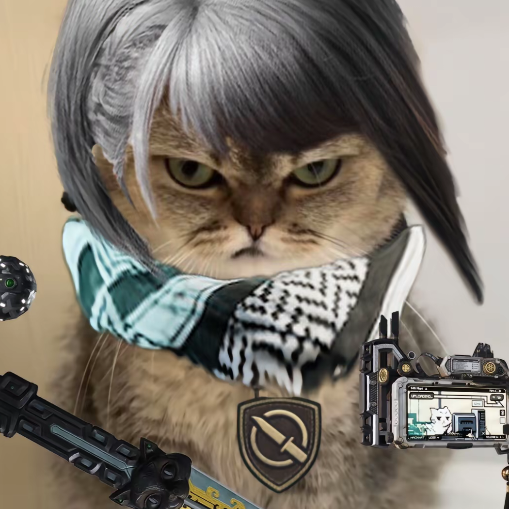 海南又下起小雨