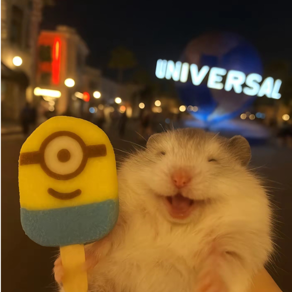 执弃