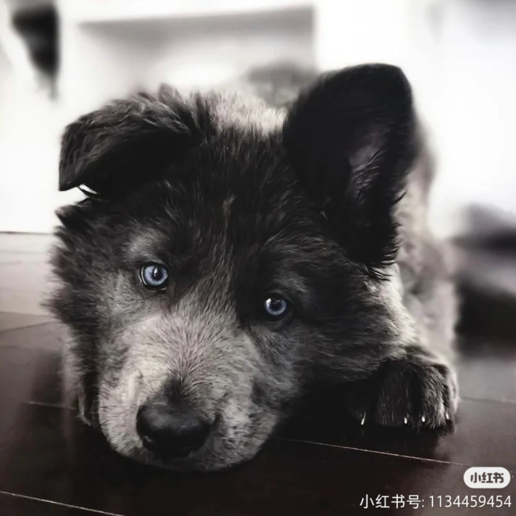 我是不留神儿