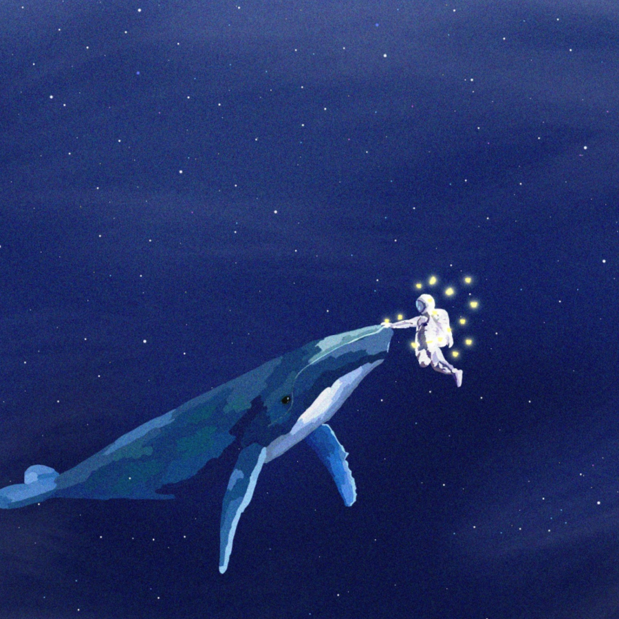 冰箱里的宇宙生态