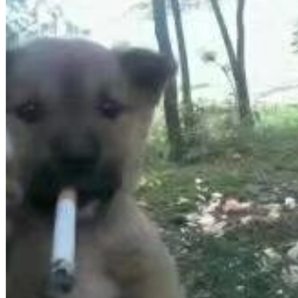 我与回忆相拥