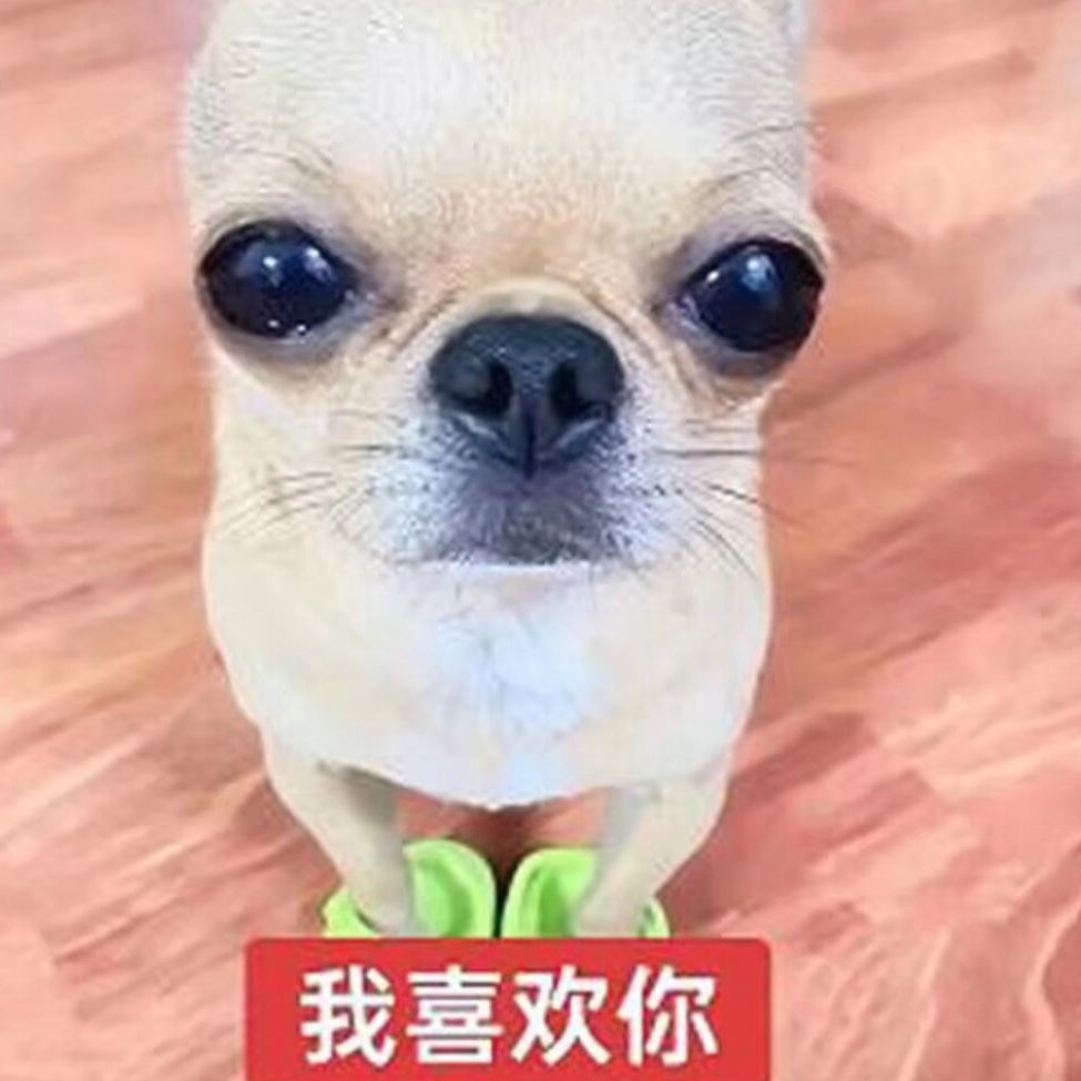 骗你的