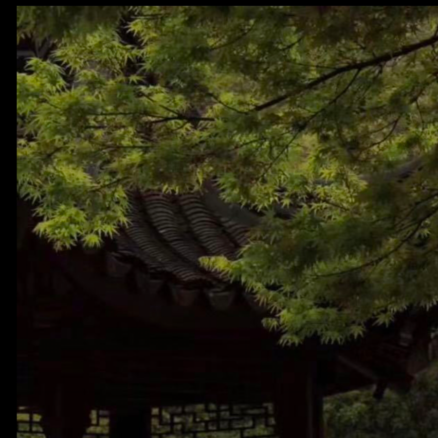 梦