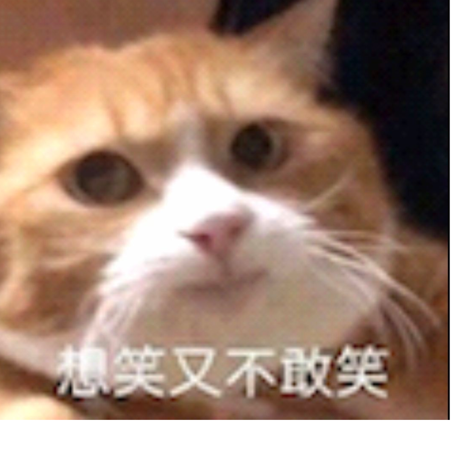 阿鱼酱