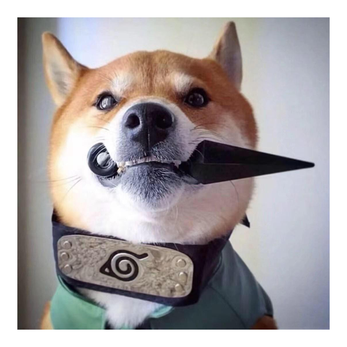 杰