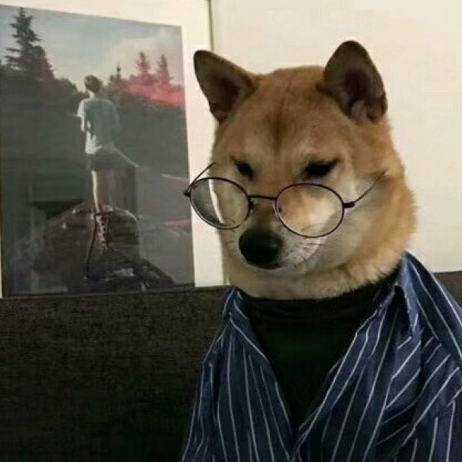 你家邻居的猫