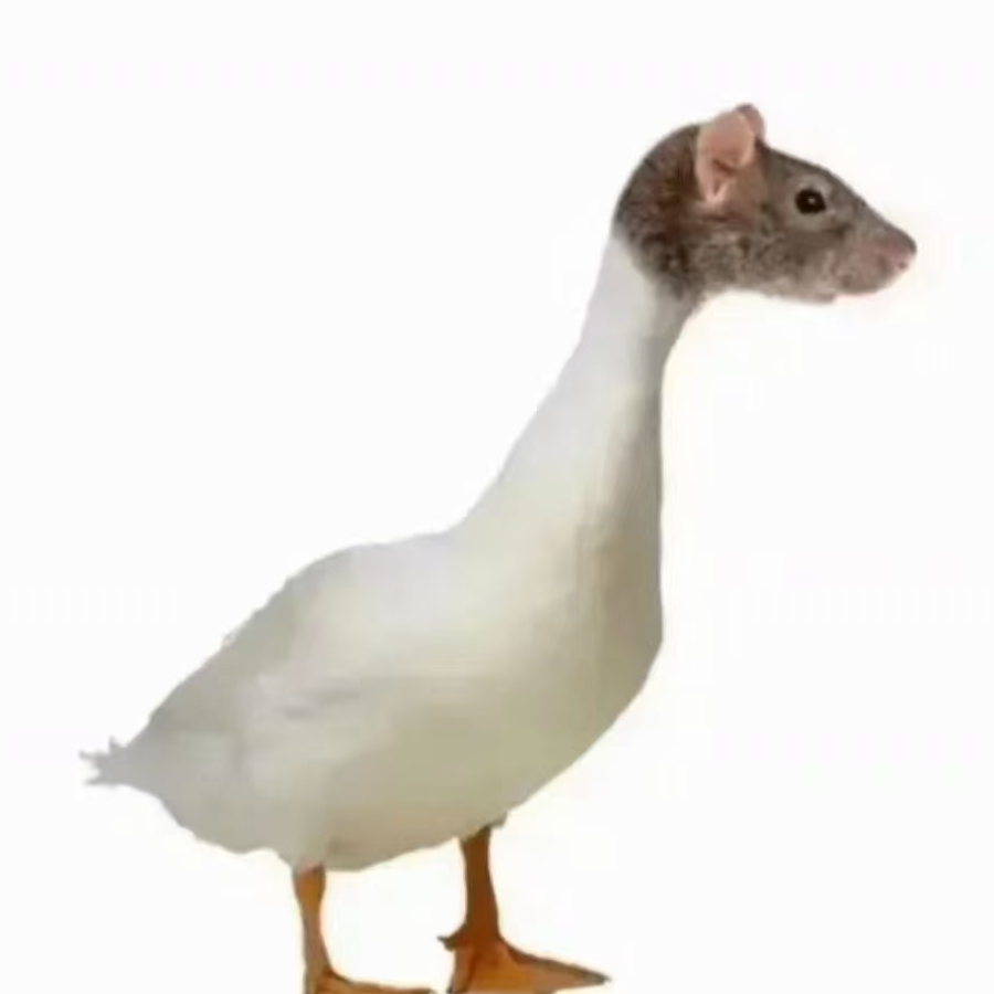 这真是