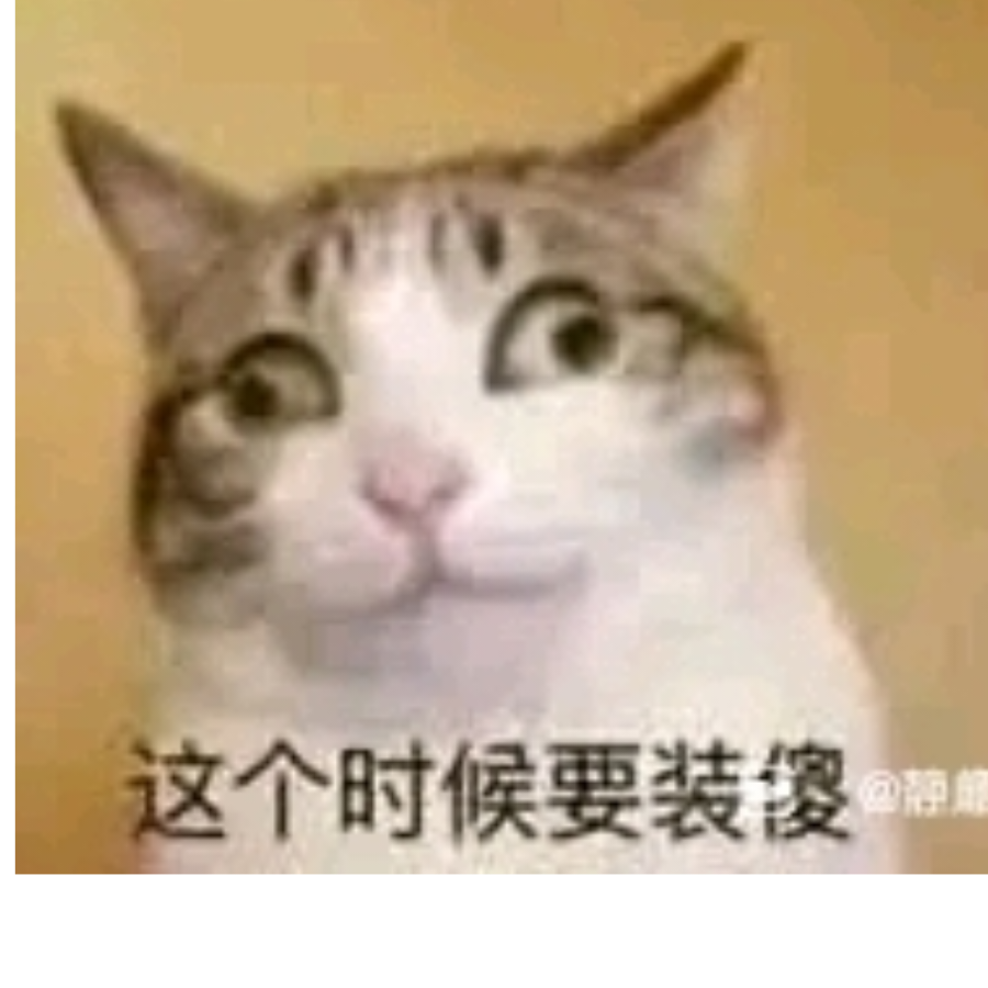 技术猫mi