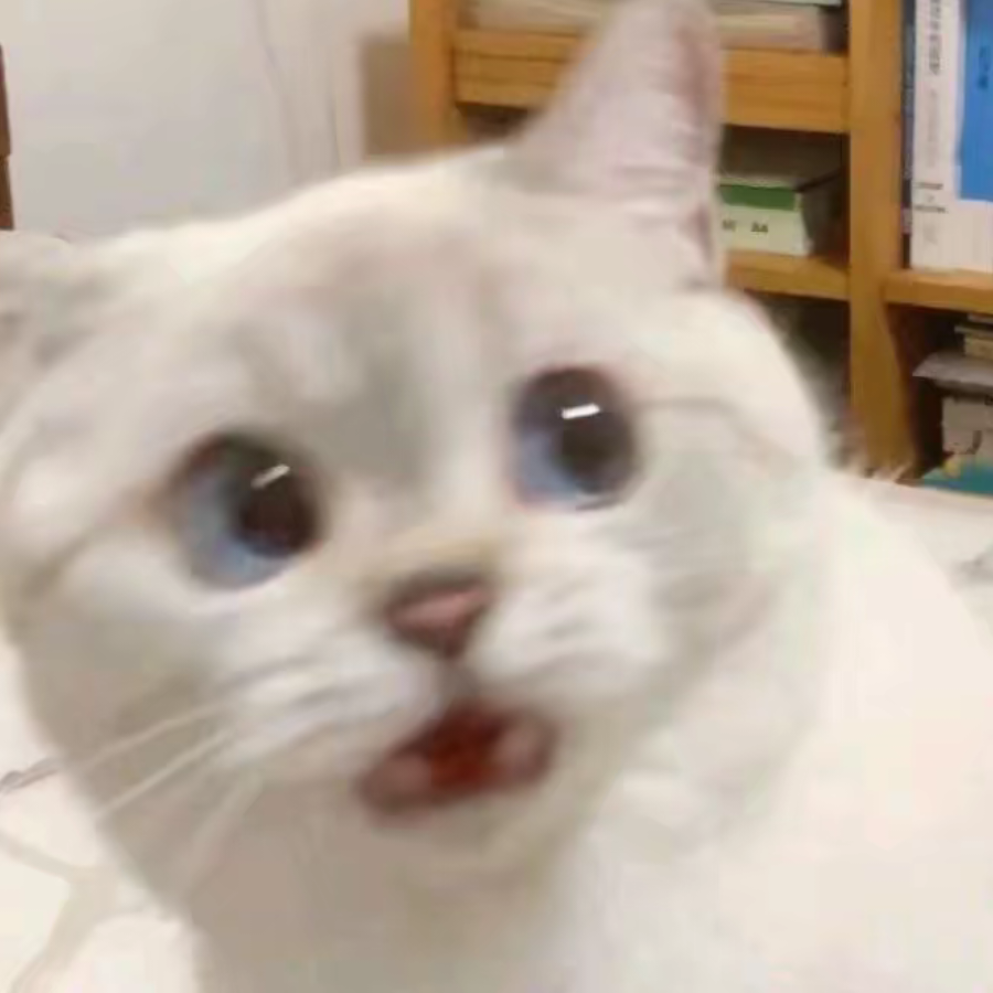 奶盐饼干