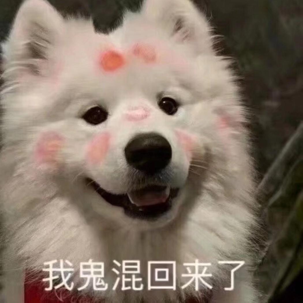 猛男天降