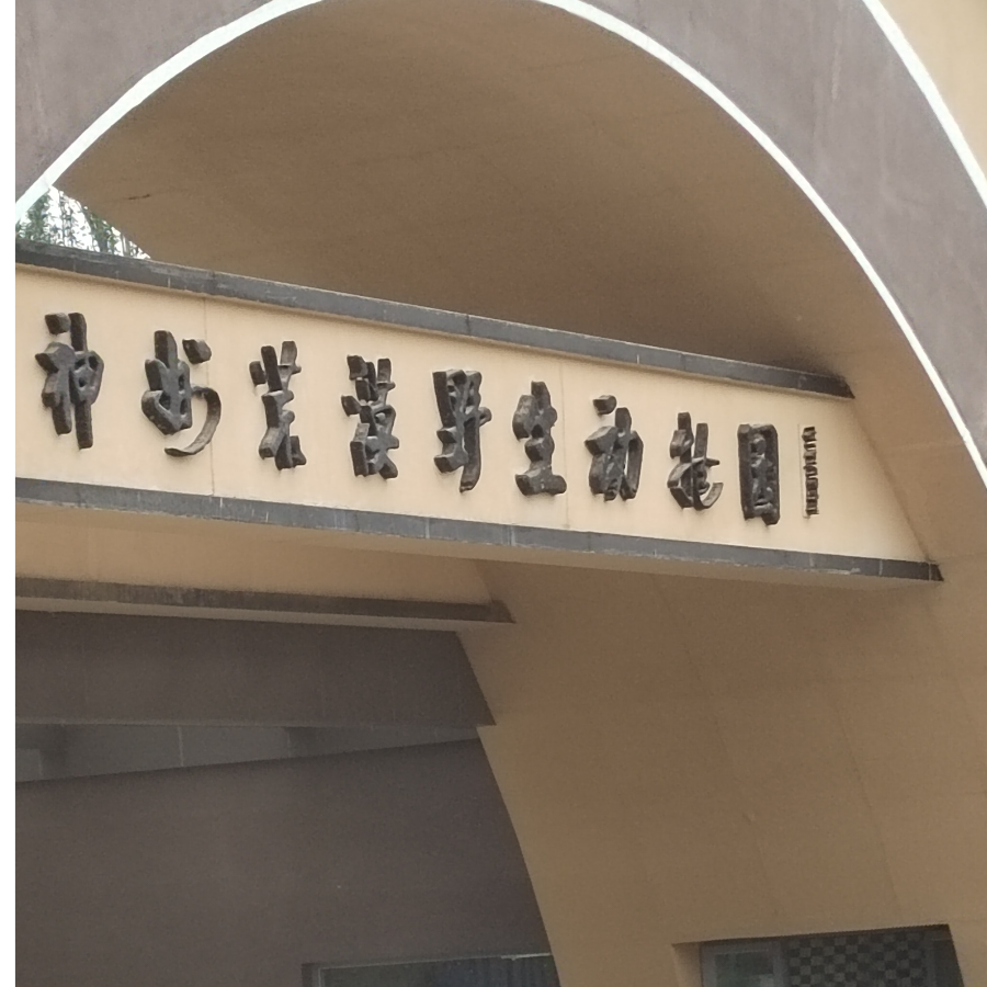 天使之翼