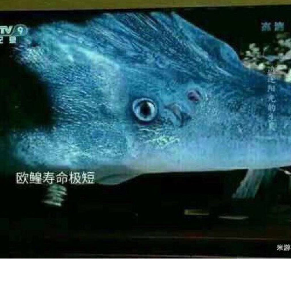 一盏小橘灯