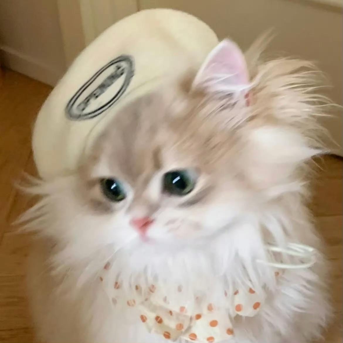 妮蔻啦啦