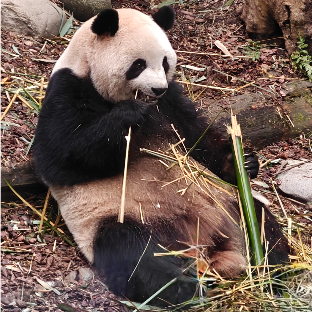 富贵