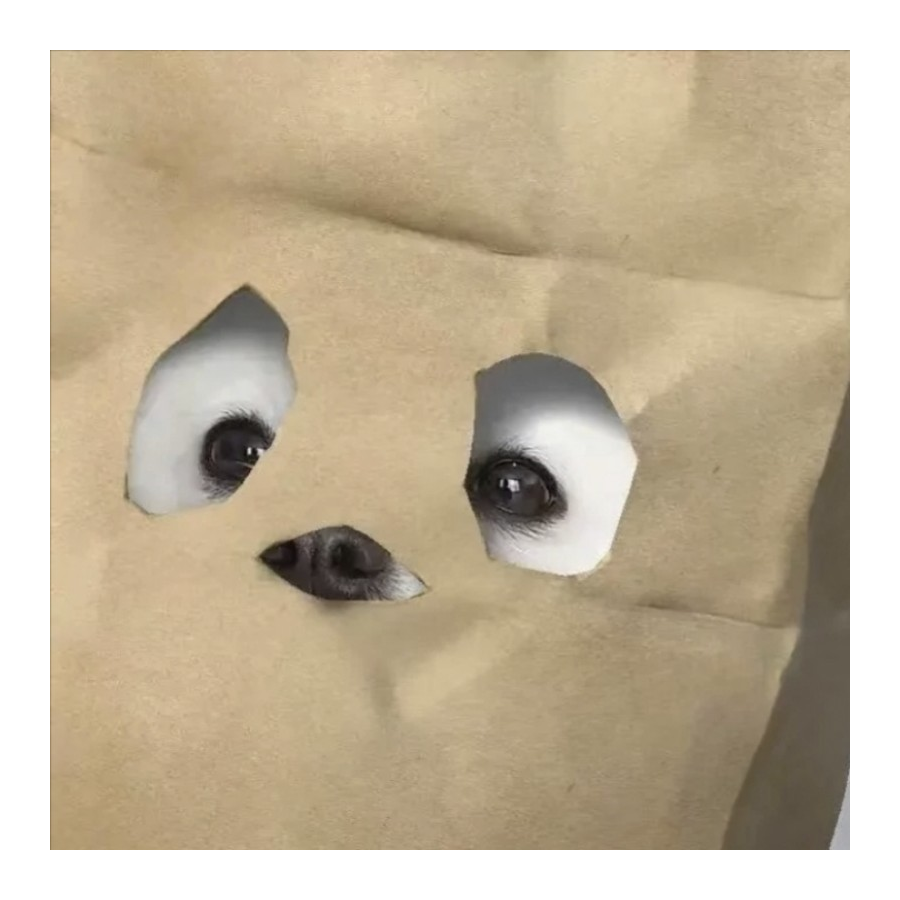 安柒