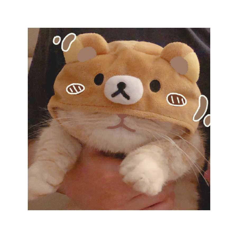 孤春三月