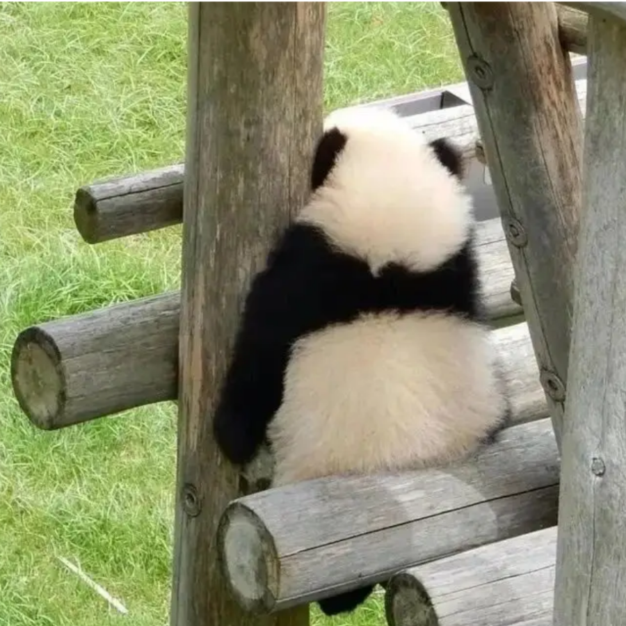 Aaaaa.呐
