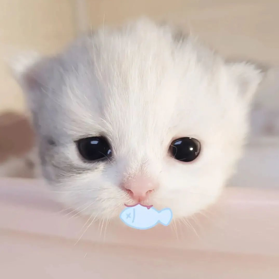 童话书