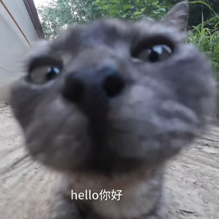 、
