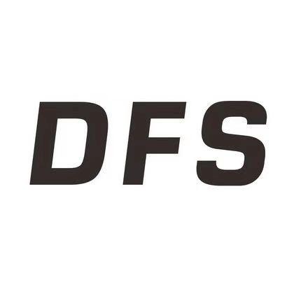 DFS.钦总