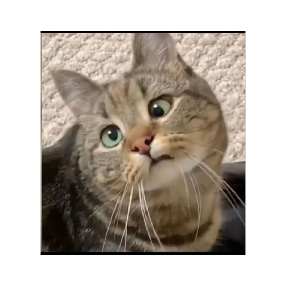 子衿