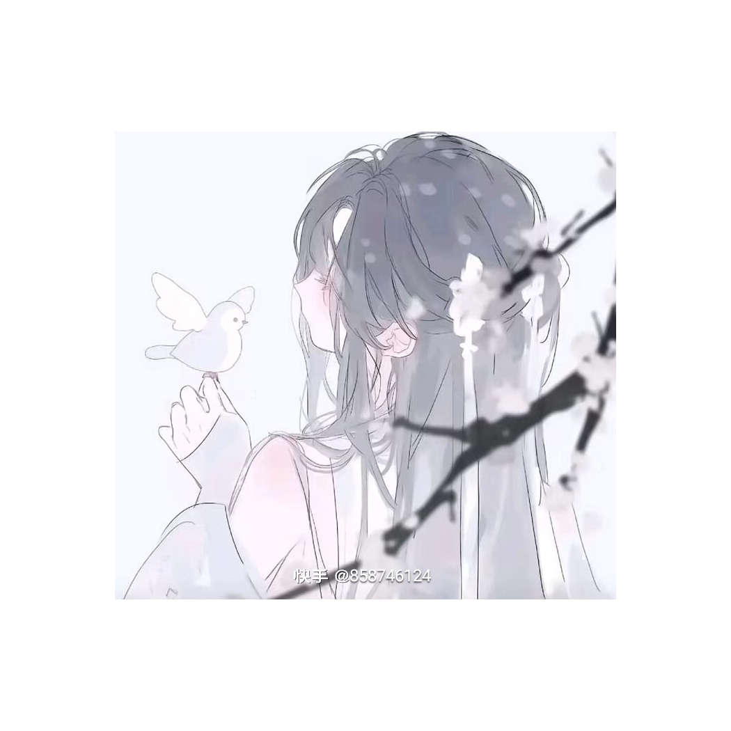 秦幕歆