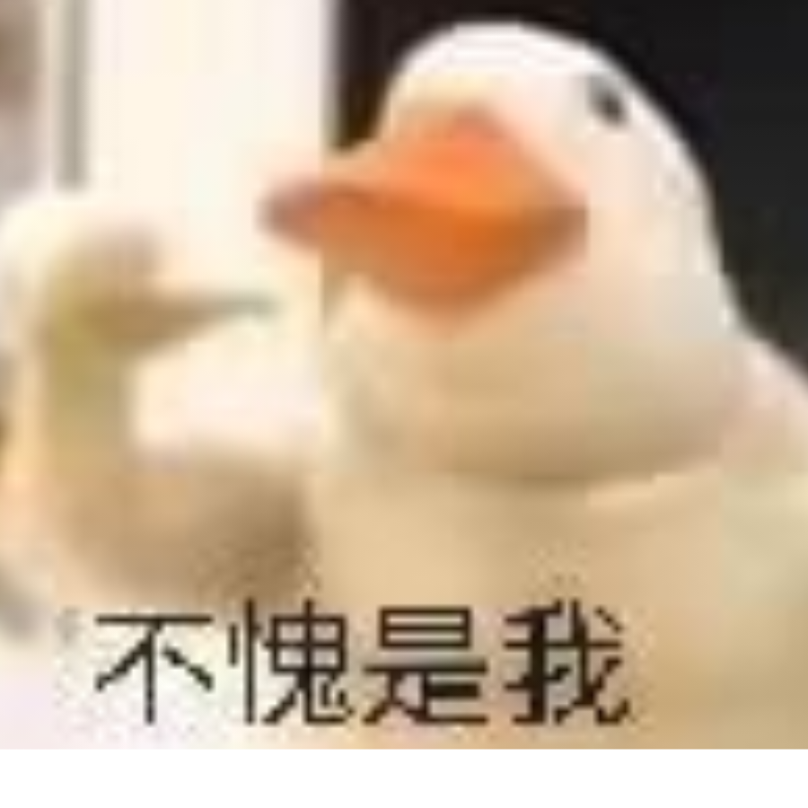 某神秘屑doctor