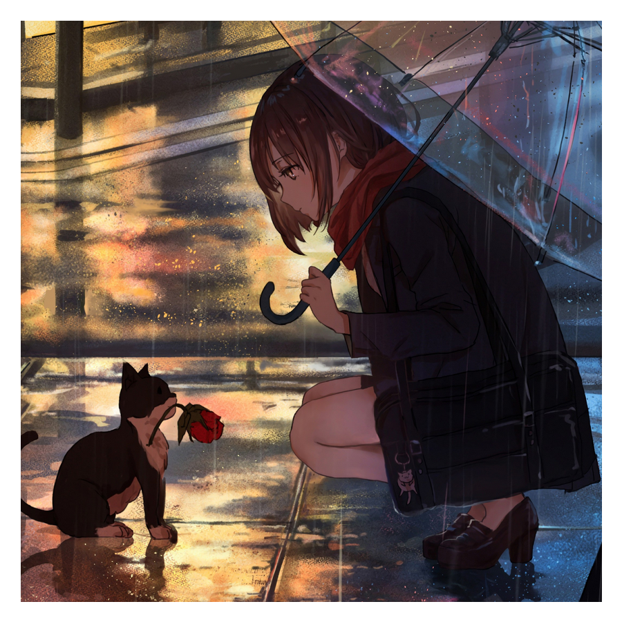 幸运罗辑