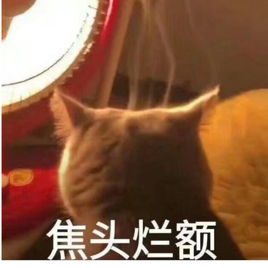 是花不解语