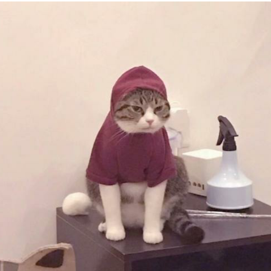 鸳鸯锅
