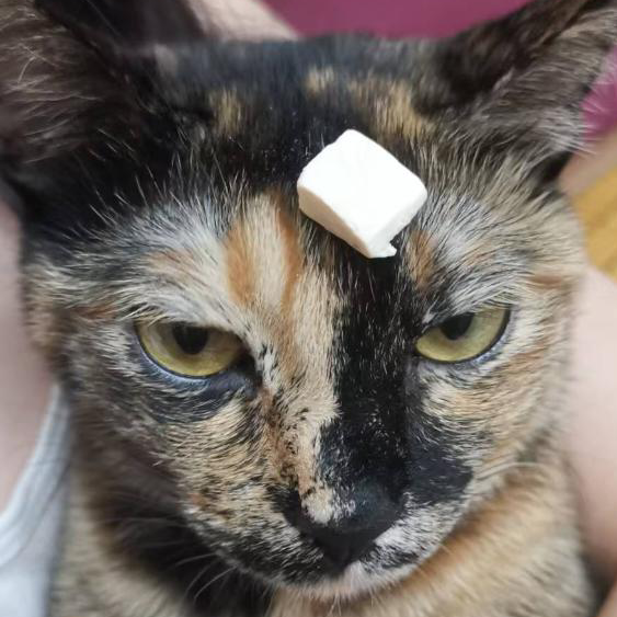 我嘞個嘟嘟嘟嘟嘟