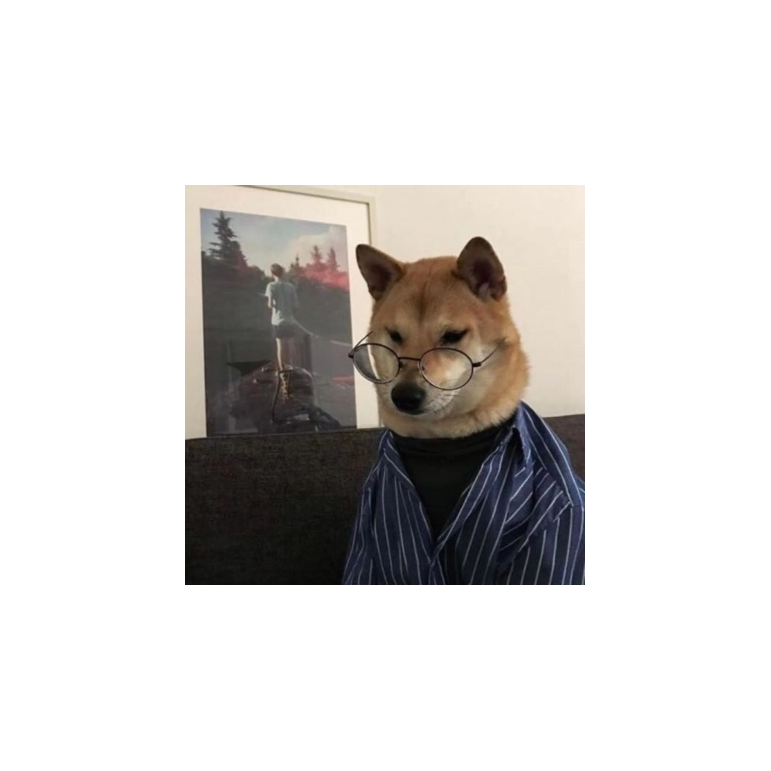 这么可怜吗？你