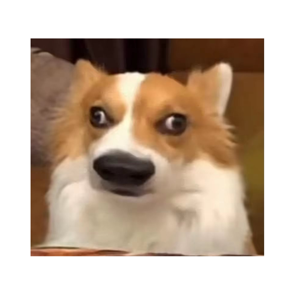 轩