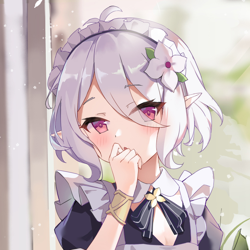 hc