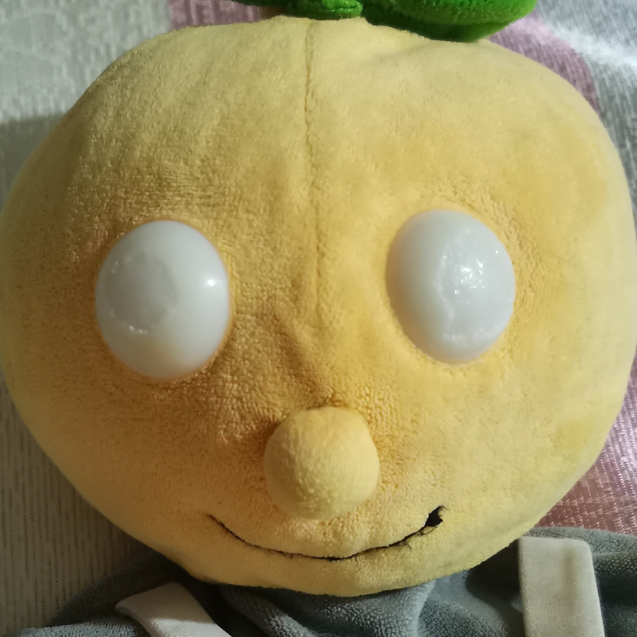 橘子